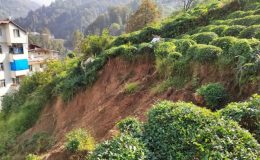 Karadeniz’de ‘heyelan’ tehlikesi