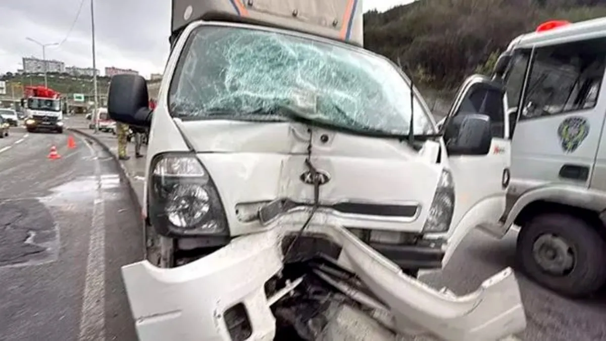 Yağmurda kayan kamyonet refüje çarpıp aydınlatma direğini devirdi